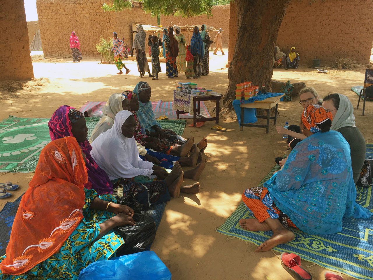 Business Women in Niger Africa