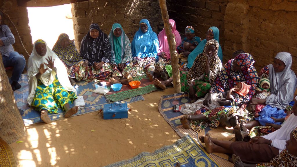 Female in niger meeting