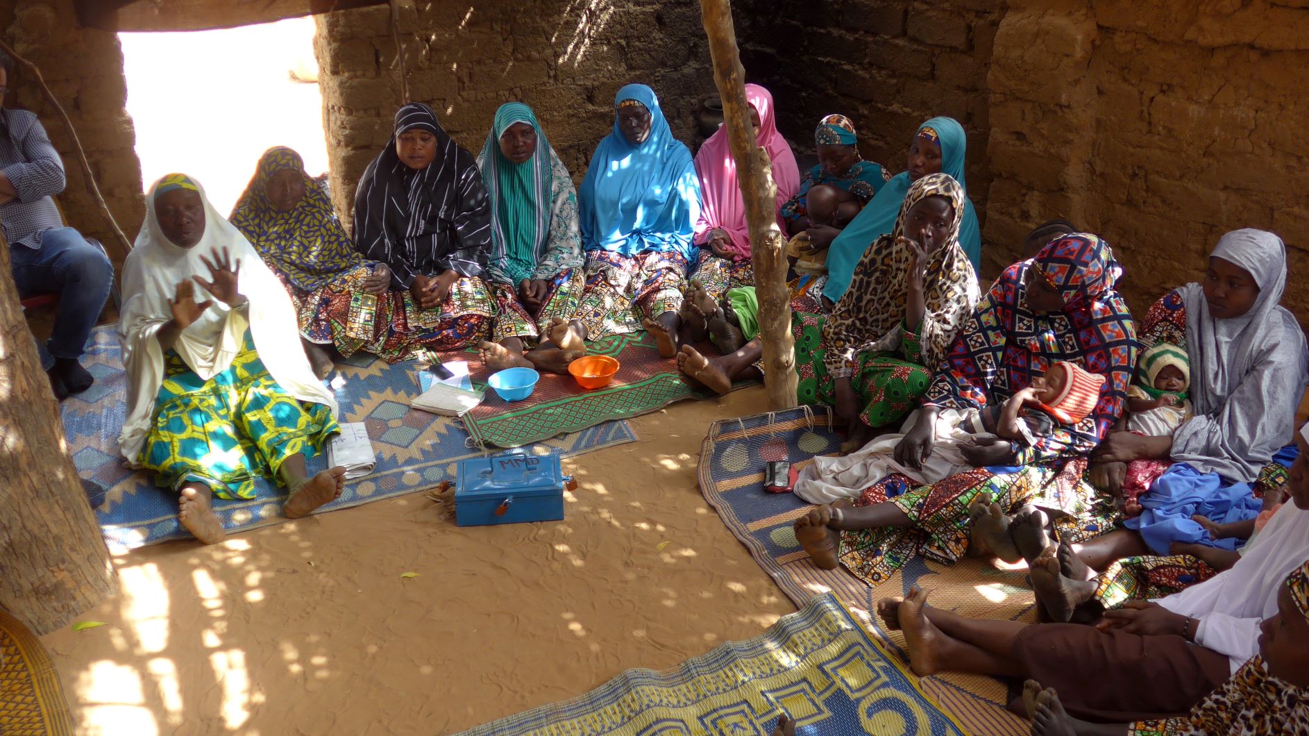 Niger village women meeting