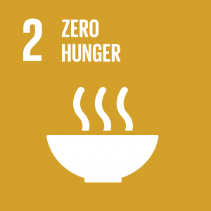 SDG 2 Zero Hunger