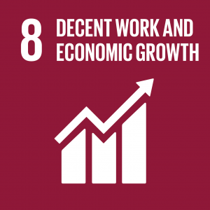 SDG 8 Decent Work and Economic Growth