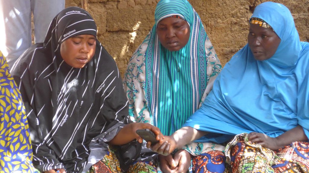 community finance in Niger